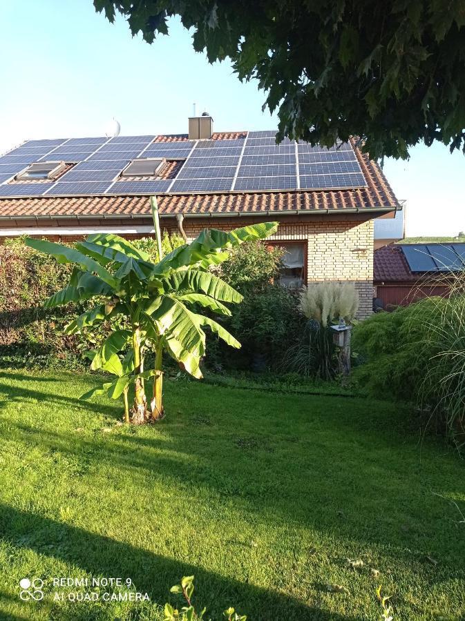 Moderne Ferienwohnung Neckarschleife Mit Klimaanlage Kirchheim am Neckar Ngoại thất bức ảnh